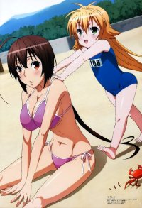 BUY NEW sekirei - 194202 Premium Anime Print Poster